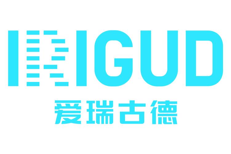 从系统集成到网络安全 构建全方位技术服务体系指南